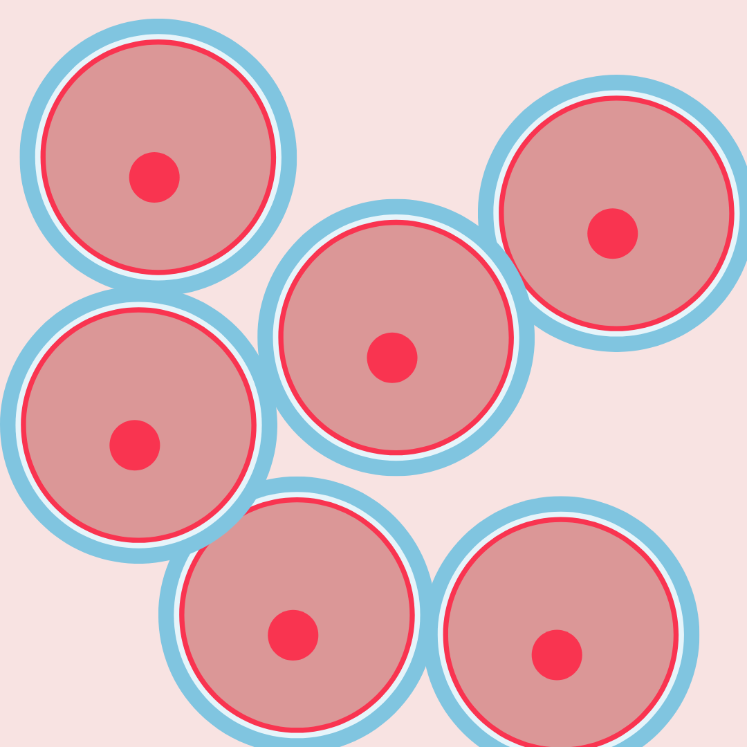 Abbildung Anzahl der Eizellen bei Mini-IVF